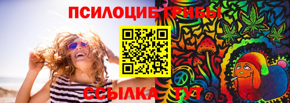 Псилоцибиновые грибы Psilocybe Павлово