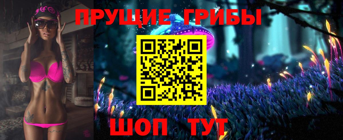 Павлово  Псилоцибиновые грибы прущие грибы  где купить наркоту  Вход с VPN  Галлюциногенные грибы Psilocybine cubensis 